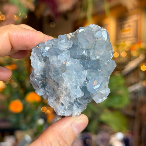 Ravenstone Crystals Celestite "Preston"