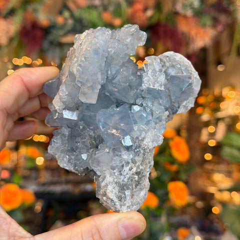 Ravenstone Crystals Celestite "Ty"