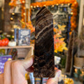 Ravenstone Crystals Chocolate Calcite "Willa"