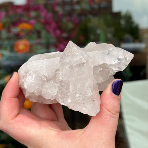 Ravenstone Crystals Clear Quartz "Christopher"