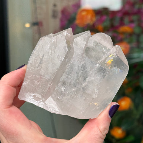 Ravenstone Crystals Clear Quartz "Joshua"