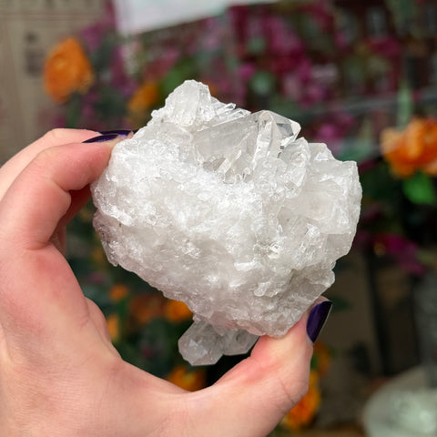 Ravenstone Crystals Clear Quartz "Laney"