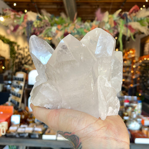Ravenstone Crystals Clear Quartz "Leonard"