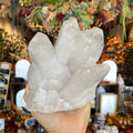 Ravenstone Crystals Clear Quartz "Leonard"
