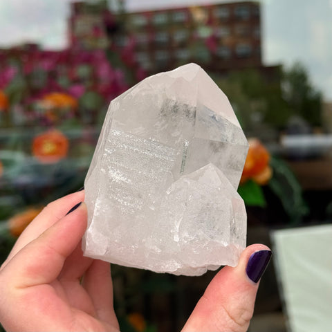 Ravenstone Crystals Clear Quartz "Samantha"