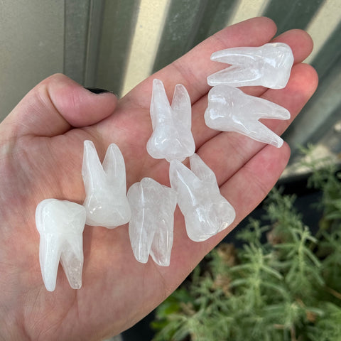 Ravenstone Crystals Clear Quartz Tooth