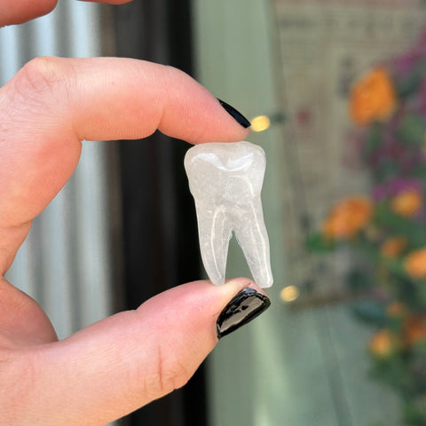 Ravenstone Crystals Clear Quartz Tooth