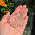 Ravenstone Crystals Clear Quartz Turtle "Henry"