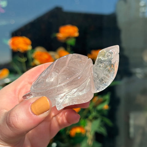 Ravenstone Crystals Clear Quartz Turtle "Henry"