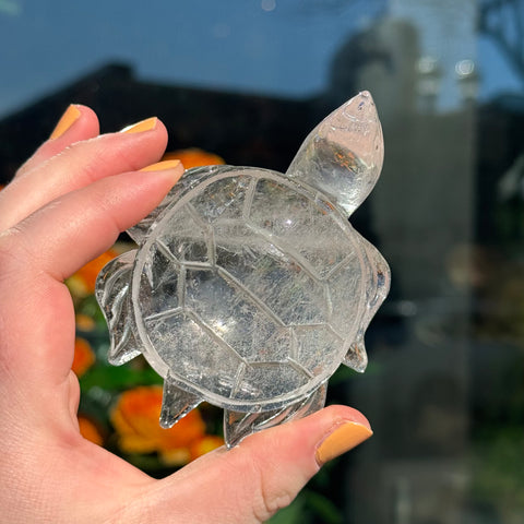 Ravenstone Crystals Clear Quartz Turtle "Henry"