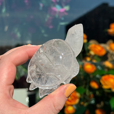 Ravenstone Crystals Clear Quartz Turtle "Linda"