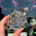 Ravenstone Crystals Clear Quartz Turtle "Natalie"