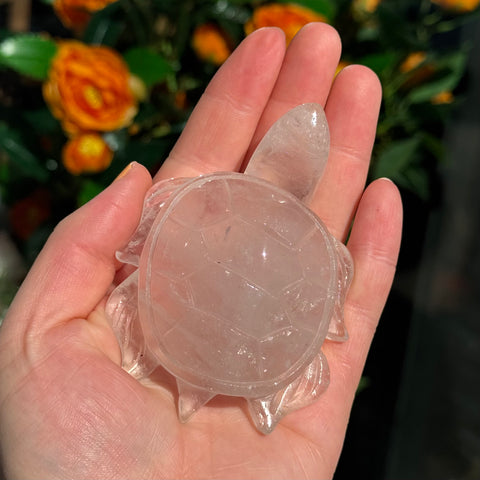 Ravenstone Crystals Clear Quartz Turtle "Ollie"