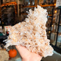 Ravenstone Crystals Colombian Quartz "Robyn"