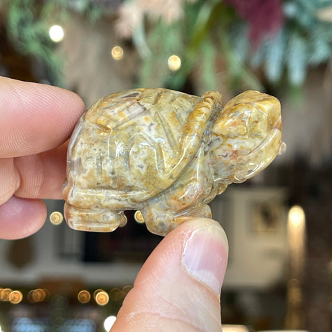 Ravenstone Crystals Crazy Lace Agate Turtle