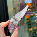 Ravenstone Crystals Crazy Lace Amethyst Feather "Collin"