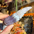Ravenstone Crystals Crazy Lace Amethyst Feather "Genevieve"