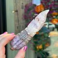 Ravenstone Crystals Crazy Lace Amethyst Feather "Travis"
