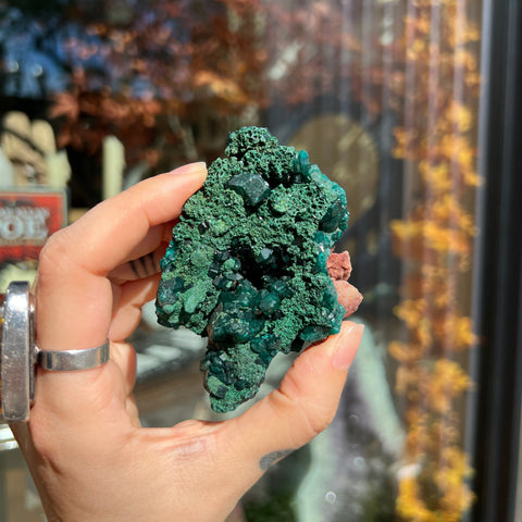 Ravenstone Crystals Dioptase "Lilliana"