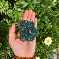 Ravenstone Crystals Dioptase "Selma"