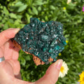 Ravenstone Crystals Dioptase "Selma"