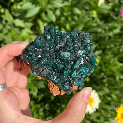 Ravenstone Crystals Dioptase "Selma"