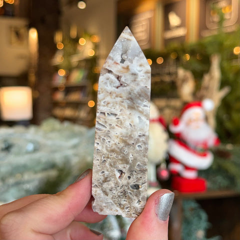 Ravenstone Crystals Druzy Fossilized Coral "Mike"