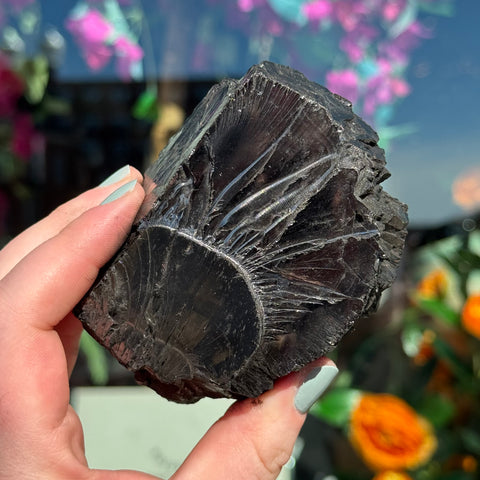 Ravenstone Crystals Elite Shungite "Clay"