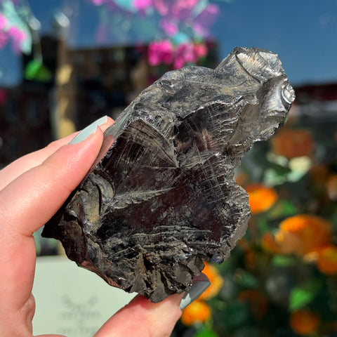 Ravenstone Crystals Elite Shungite "Dawson"