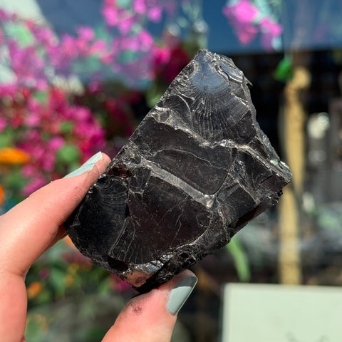 Ravenstone Crystals Elite Shungite "Gale"