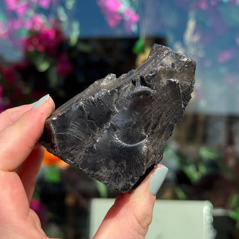 Ravenstone Crystals Elite Shungite "Horton"