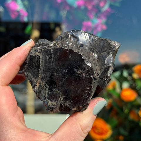 Ravenstone Crystals Elite Shungite "Hunter"