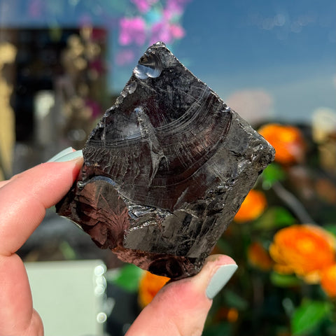 Ravenstone Crystals Elite Shungite "Laurie"
