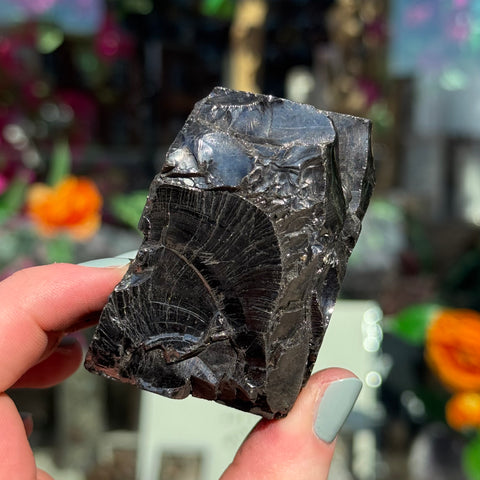 Ravenstone Crystals Elite Shungite "Michele"