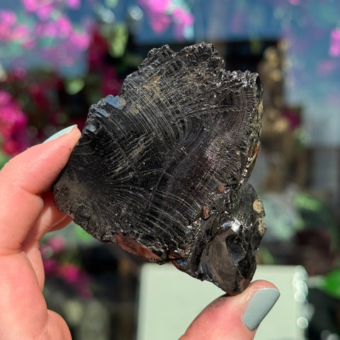 Ravenstone Crystals Elite Shungite "Oswald"