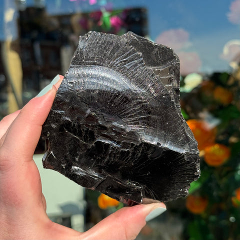 Ravenstone Crystals Elite Shungite "Sasha"