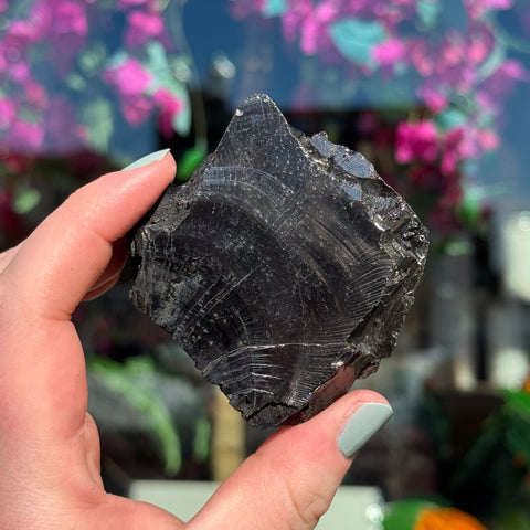 Ravenstone Crystals Elite Shungite "Wilson"
