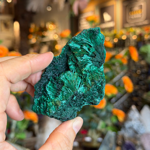 Ravenstone Crystals Fibrous Malachite "Dustin"
