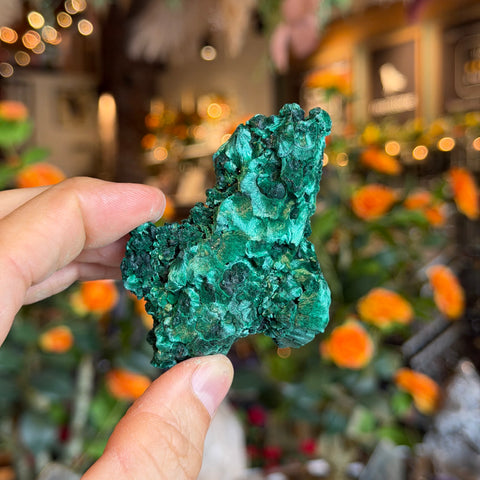 Ravenstone Crystals Fibrous Malachite "Gabriella"