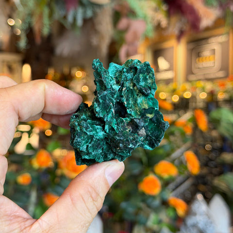 Ravenstone Crystals Fibrous Malachite "Hayden"