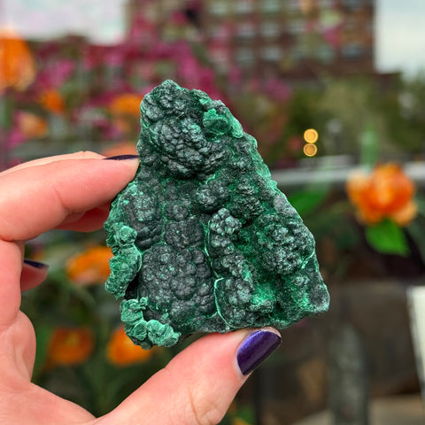 Ravenstone Crystals Fibrous Malachite "Jesse"