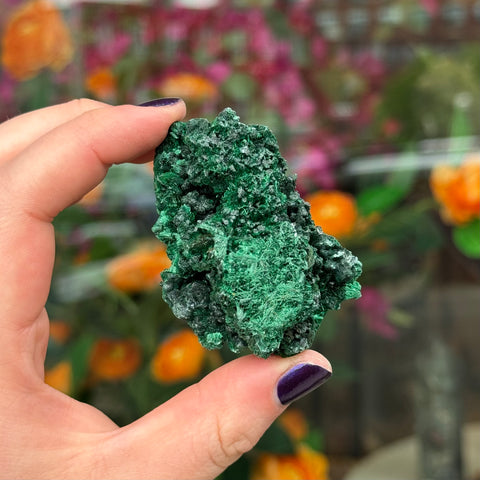 Ravenstone Crystals Fibrous Malachite "Patrick"
