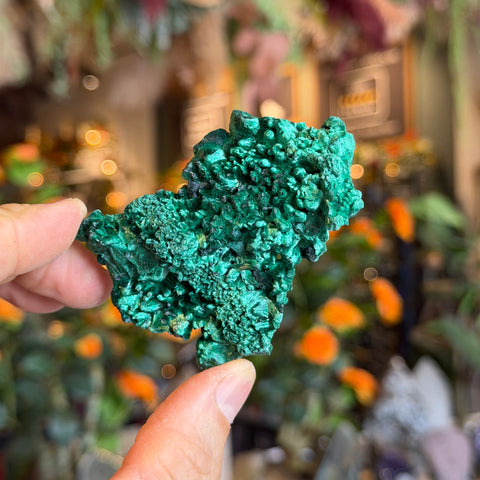 Ravenstone Crystals Fibrous Malachite "Sandra"