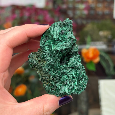 Ravenstone Crystals Fibrous Malachite "Sean"