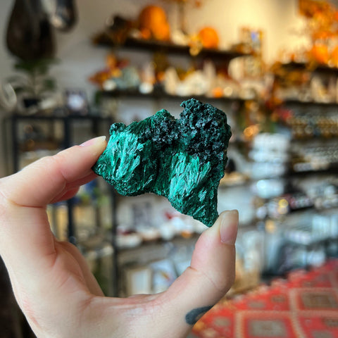 Ravenstone Crystals Fibrous Malachite "Steven"