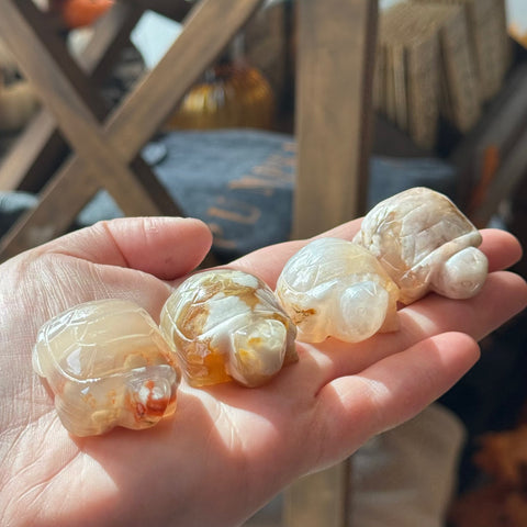 Ravenstone Crystals Flower Agate Turtle