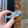 Ravenstone Crystals Fluorite Dolphin "Bobbi"
