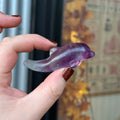 Ravenstone Crystals Fluorite Dolphin "Hayleigh"
