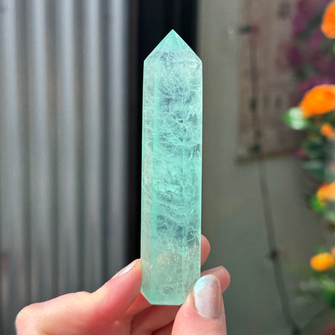 Ravenstone Crystals Fluorite "Max"