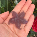 Ravenstone Crystals Fluorite Starfish "Ashley"